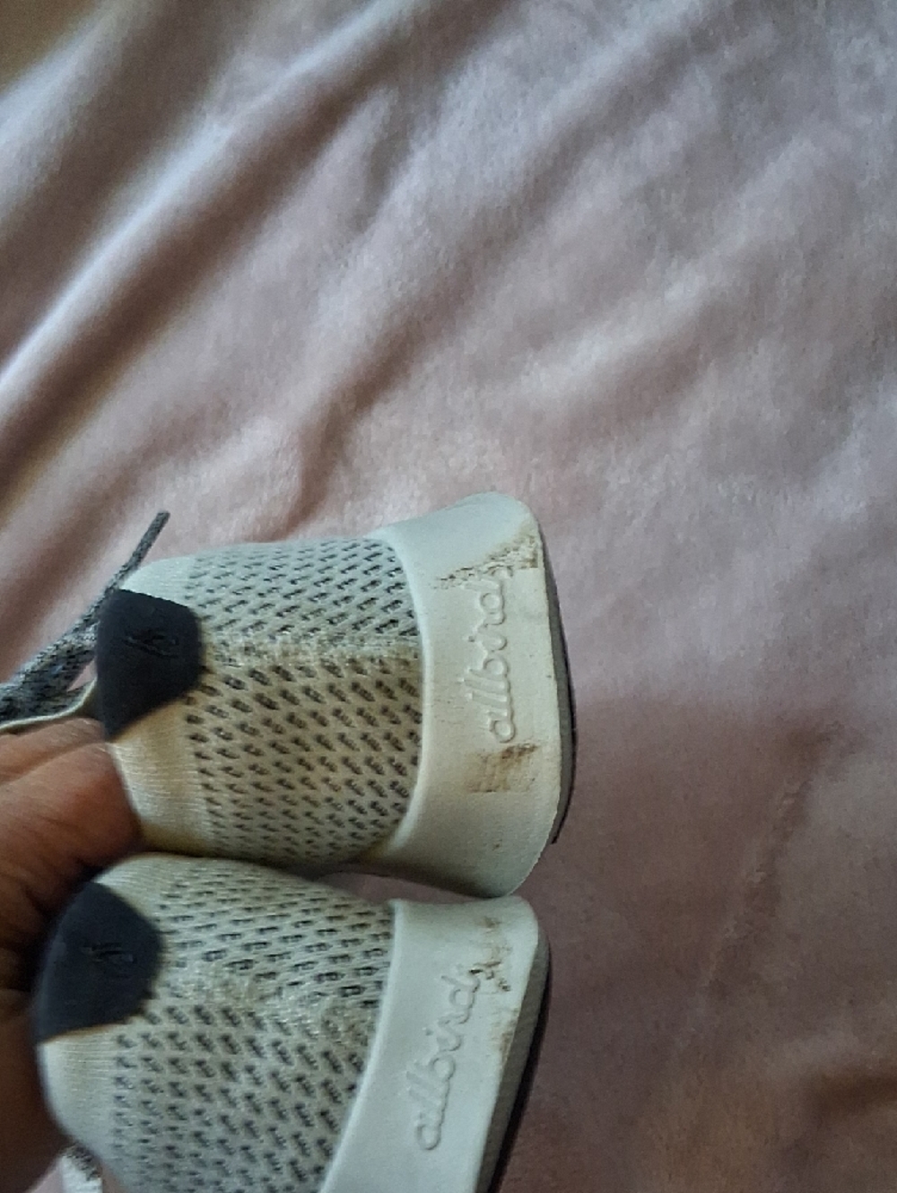 allbirds Kids Knit Lace-Up Sneakers - White/Cream with Gray Accents - Picture 7 of 8